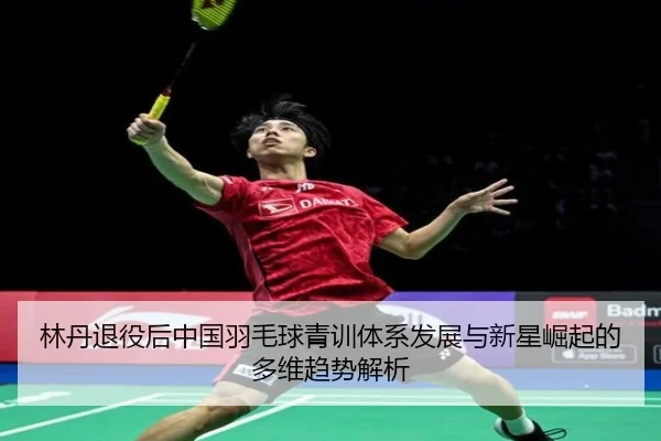林丹退役后中国羽毛球青训体系发展与新星崛起的多维趋势解析 | 6686SPORTS